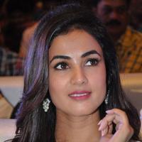 Sonal Chauhan at Sher Movie Audio Launch Photos | Picture 1135530