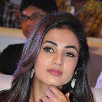 Sonal Chauhan at Sher Movie Audio Launch Photos | Picture 1135538