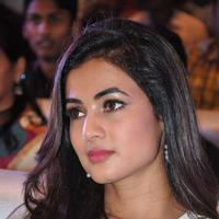 Sonal Chauhan at Sher Movie Audio Launch Photos | Picture 1135540