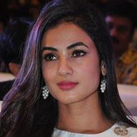 Sonal Chauhan at Sher Movie Audio Launch Photos | Picture 1135544