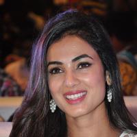Sonal Chauhan at Sher Movie Audio Launch Photos | Picture 1135549