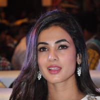 Sonal Chauhan at Sher Movie Audio Launch Photos | Picture 1135550