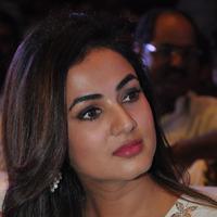 Sonal Chauhan at Sher Movie Audio Launch Photos | Picture 1135551