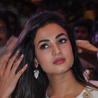 Sonal Chauhan at Sher Movie Audio Launch Photos | Picture 1135552