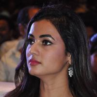 Sonal Chauhan at Sher Movie Audio Launch Photos | Picture 1135553