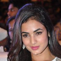 Sonal Chauhan at Sher Movie Audio Launch Photos | Picture 1135555