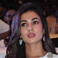 Sonal Chauhan at Sher Movie Audio Launch Photos | Picture 1135556