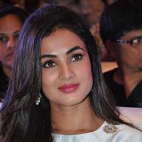 Sonal Chauhan at Sher Movie Audio Launch Photos | Picture 1135557