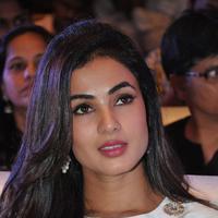 Sonal Chauhan at Sher Movie Audio Launch Photos | Picture 1135561