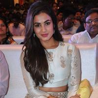 Sonal Chauhan at Sher Movie Audio Launch Photos | Picture 1135568