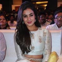 Sonal Chauhan at Sher Movie Audio Launch Photos | Picture 1135569