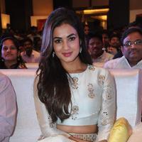 Sonal Chauhan at Sher Movie Audio Launch Photos | Picture 1135570