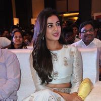 Sonal Chauhan at Sher Movie Audio Launch Photos | Picture 1135572