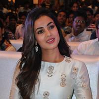 Sonal Chauhan at Sher Movie Audio Launch Photos | Picture 1135573