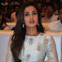 Sonal Chauhan at Sher Movie Audio Launch Photos | Picture 1135574