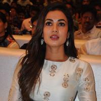 Sonal Chauhan at Sher Movie Audio Launch Photos | Picture 1135575