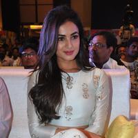 Sonal Chauhan at Sher Movie Audio Launch Photos | Picture 1135581
