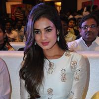Sonal Chauhan at Sher Movie Audio Launch Photos | Picture 1135585