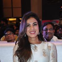 Sonal Chauhan at Sher Movie Audio Launch Photos | Picture 1135587