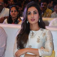 Sonal Chauhan at Sher Movie Audio Launch Photos | Picture 1135589