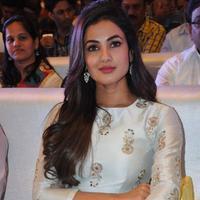 Sonal Chauhan at Sher Movie Audio Launch Photos | Picture 1135594