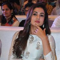 Sonal Chauhan at Sher Movie Audio Launch Photos | Picture 1135596