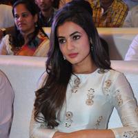 Sonal Chauhan at Sher Movie Audio Launch Photos | Picture 1135597