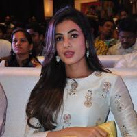 Sonal Chauhan at Sher Movie Audio Launch Photos | Picture 1135599