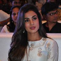 Sonal Chauhan at Sher Movie Audio Launch Photos | Picture 1135602