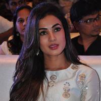 Sonal Chauhan at Sher Movie Audio Launch Photos | Picture 1135603