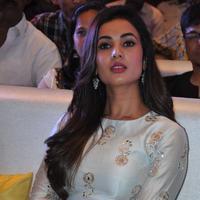 Sonal Chauhan at Sher Movie Audio Launch Photos | Picture 1135604