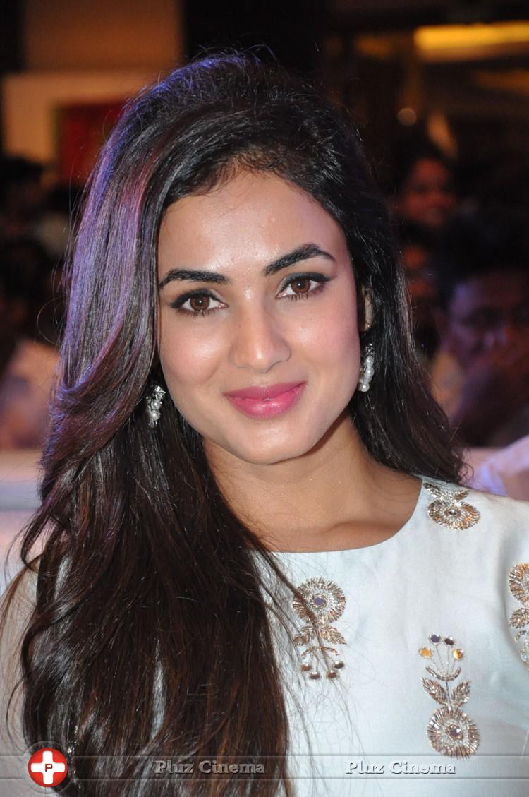 Sonal Chauhan at Sher Movie Audio Launch Photos | Picture 1135497