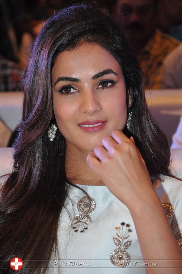 Sonal Chauhan at Sher Movie Audio Launch Photos | Picture 1135529