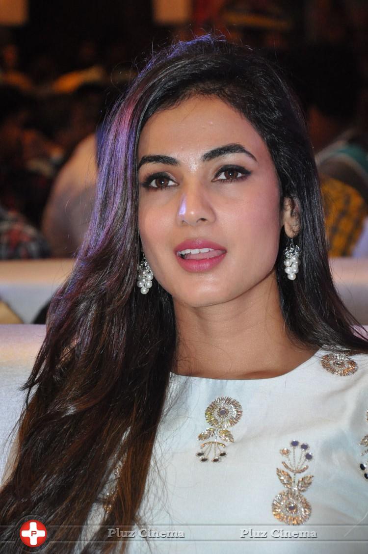 Sonal Chauhan at Sher Movie Audio Launch Photos | Picture 1135550