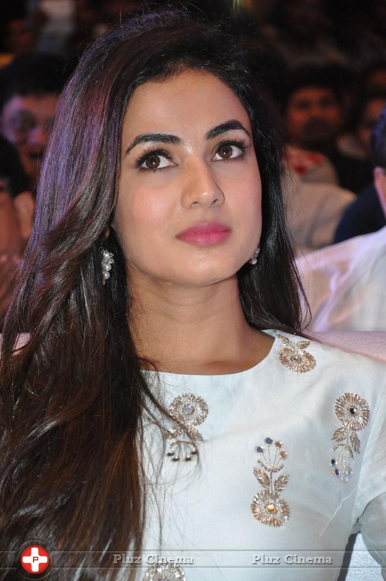 Sonal Chauhan at Sher Movie Audio Launch Photos | Picture 1135558