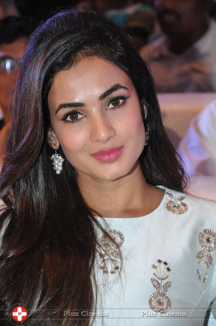 Sonal Chauhan at Sher Movie Audio Launch Photos | Picture 1135571