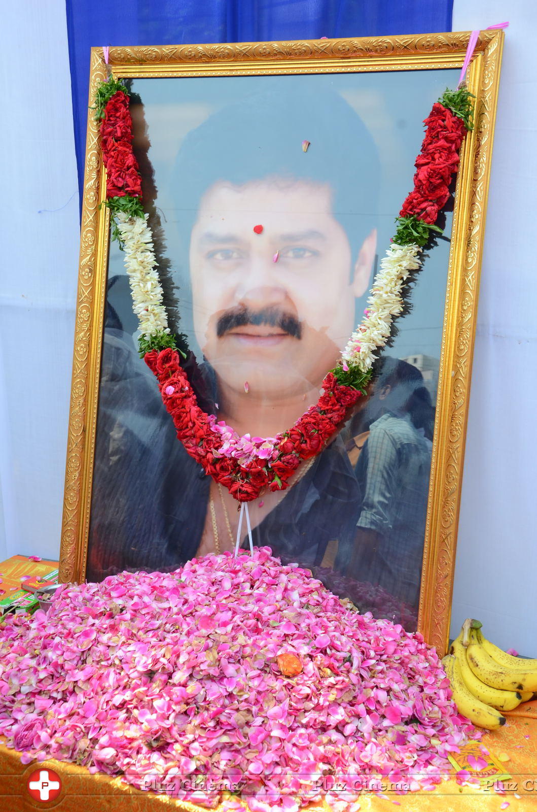 Actor Srihari Statue Inauguration Stills | Picture 1135338