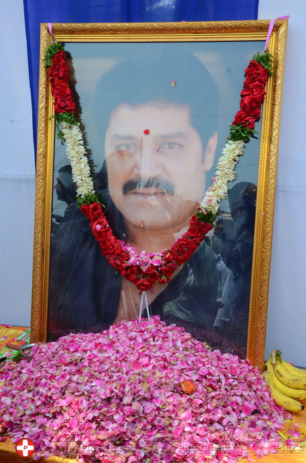 Actor Srihari Statue Inauguration Stills | Picture 1135340