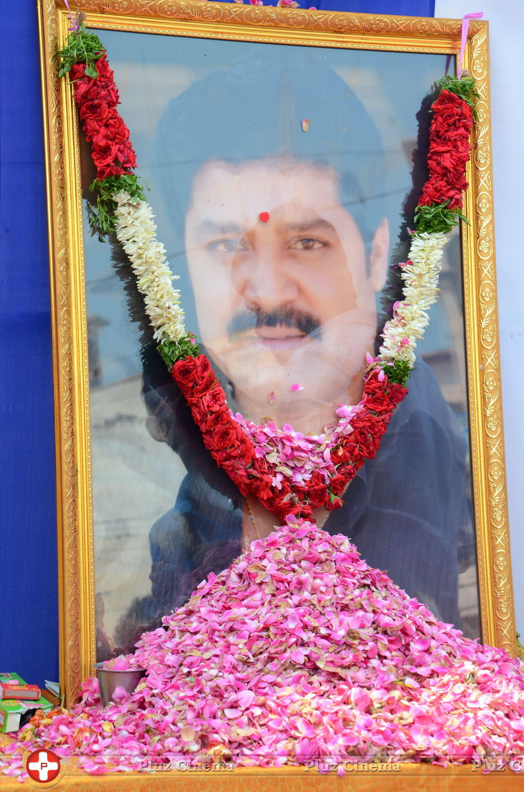 Actor Srihari Statue Inauguration Stills | Picture 1135343