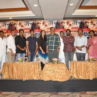 Rudramadevi Movie Success Meet Photos | Picture 1136698