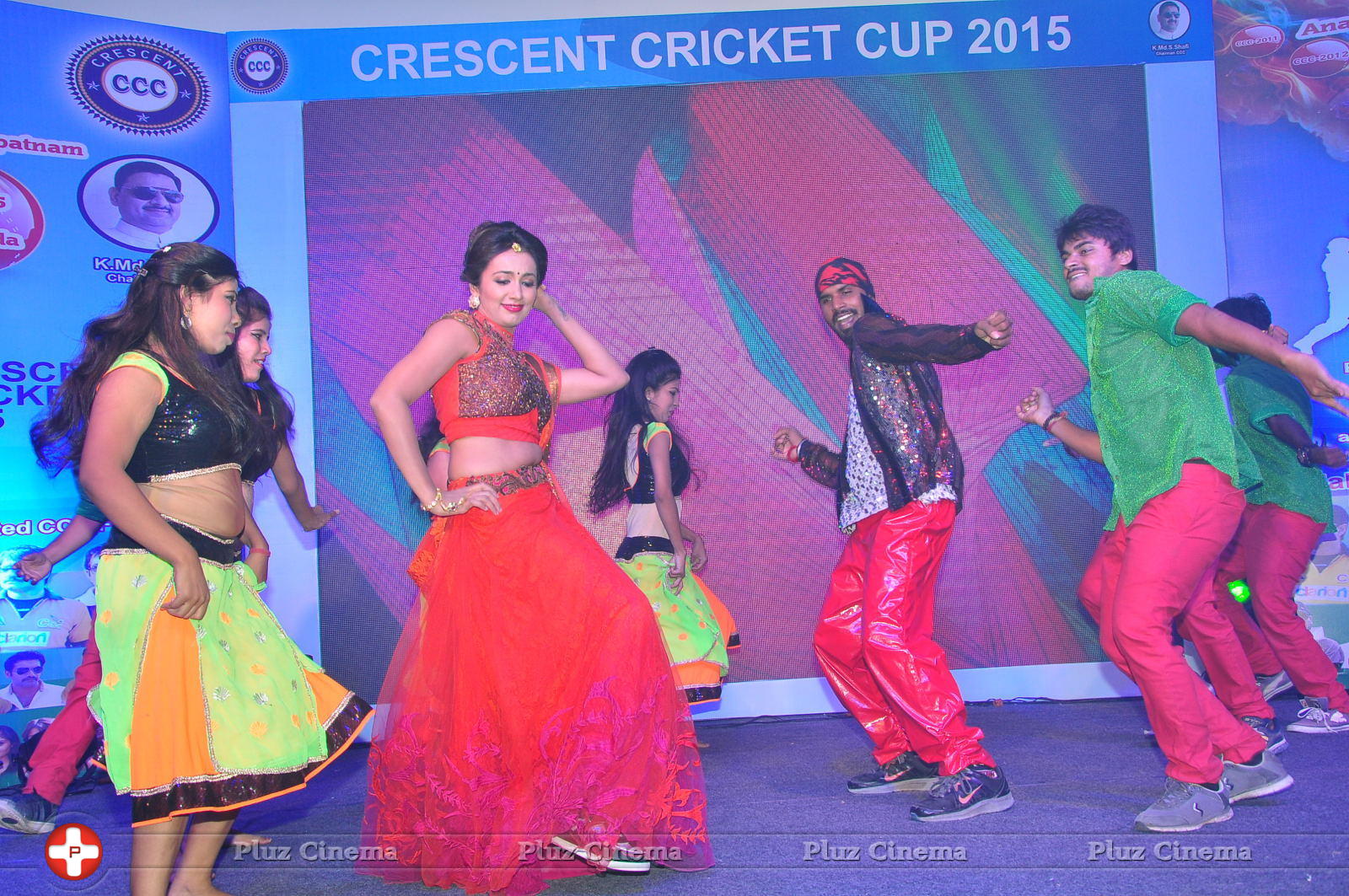 CCC 2015 Cine Stars Cricket Match Curtain Raiser Press Meet Photos | Picture 1137367