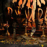 Punnami Rathri Movie New Gallery | Picture 1141321