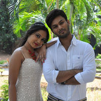 Veeri Veeri Gummadi Pandu Movie Trailer Launch Photos | Picture 1141376