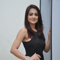 Aksha Pardasany Cute Gallery | Picture 1140655
