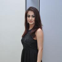 Aksha Pardasany Cute Gallery | Picture 1140658