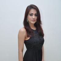 Aksha Pardasany Cute Gallery | Picture 1140659