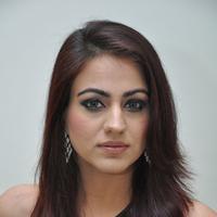 Aksha Pardasany Cute Gallery | Picture 1140669