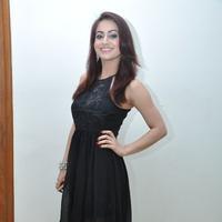 Aksha Pardasany Cute Gallery | Picture 1140680