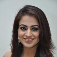 Aksha Pardasany Cute Gallery | Picture 1140689