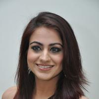 Aksha Pardasany Cute Gallery | Picture 1140692